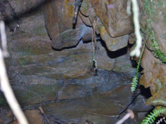 Gelligroes level, August 2011